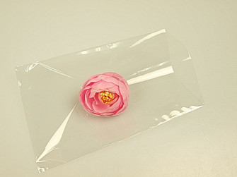 Packages PP 100pcs 10*15cm.transparent