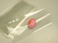 Packages PP 100pcs 10*20cm.transparent