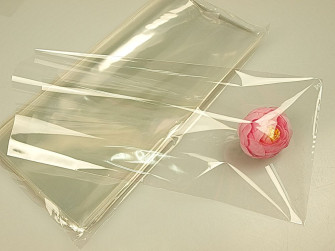 Packages PP 100 PCs 15*30cm.transparent