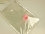 Packages PP 100 PCs 20*30cm.transparent