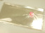 Packages PP 100 PCs 20*40cm.transparent