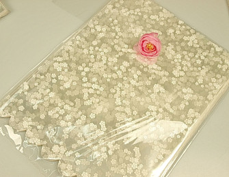 Пакеты  ПП 100 шт.20*30 с рисунком