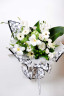 Пленка матовая в листах Gucci 03 White