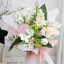 Пленка матовая в листах Омбре 01 Pink+White