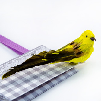 The bird yellow