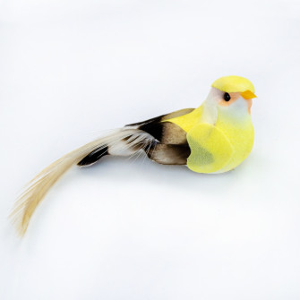 Colored sparrows in a pack