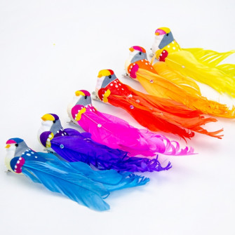 Colored birds with rhinestones in a pack