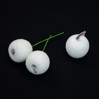 Apples in sugar 3.5 cm white