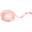 Satin ribbon 12mm x 35 yards Dirpy Pink