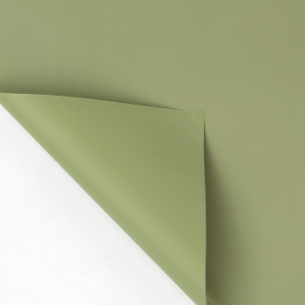 Double-sided film P.XXY-004-081 Lime Juice