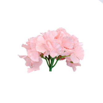 Hydrangea Pink flower heads