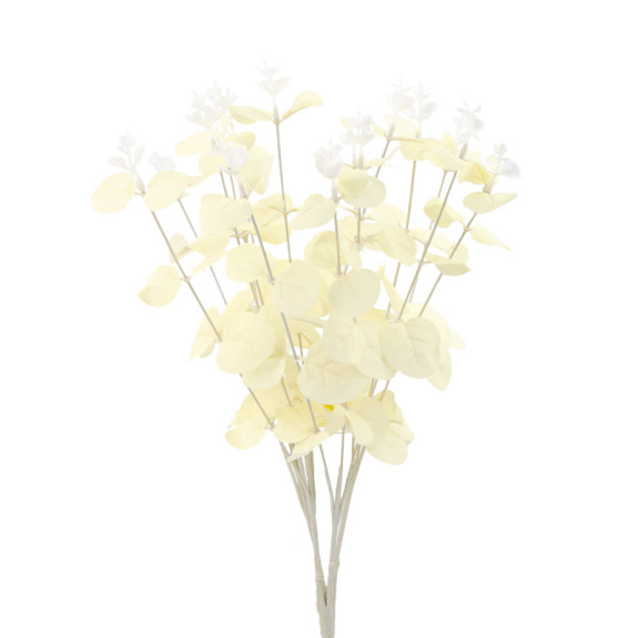 Milk eucalyptus