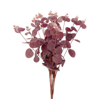 Burgundy eucalyptus