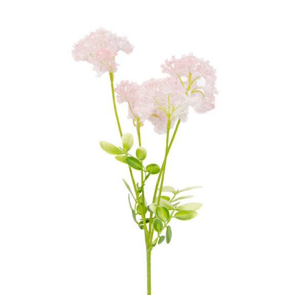 Spirea light pink