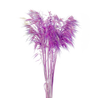 Bromus dried flower is painted