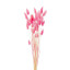 Lagurus dried flowers in a large bundle