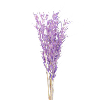 Sukhotsvit Vyvsyug dyed in a bundle in the assortment