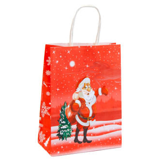 Пакет бумажный 22х27х11см "Merry Christmas на красном"