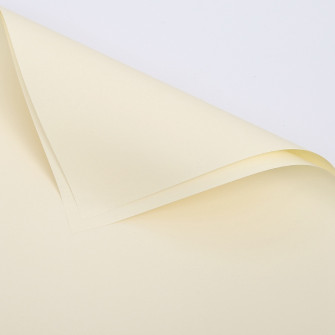 Matte double-sided film 243 Beige