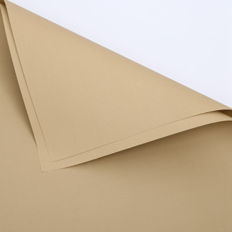 Matte double-sided film 241 Buff