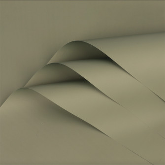 Matte double-sided film 093 GreenArmy