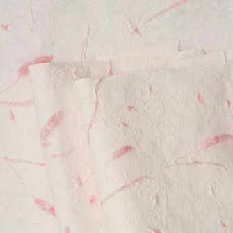 Pages Public Figure 164 Pink