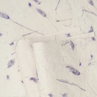 Floral paper in sheets 232 Purple