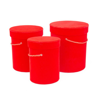 A set of velvet tubes Raspberry