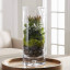 Glass transparent vase for flowers cylinder "Special" 15 x 25 cm