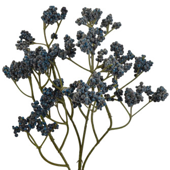 Artificial branch Kermek