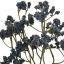 Artificial branch Kermek
