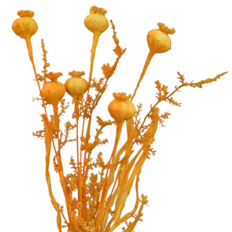 One-piece bouquet Poppy