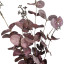Artificial bouquet Eucalyptus Red