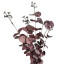 Artificial bouquet Eucalyptus Red