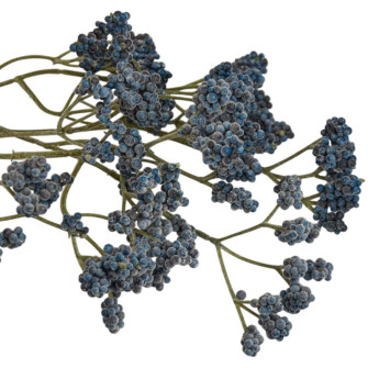Artificial branch Kermek
