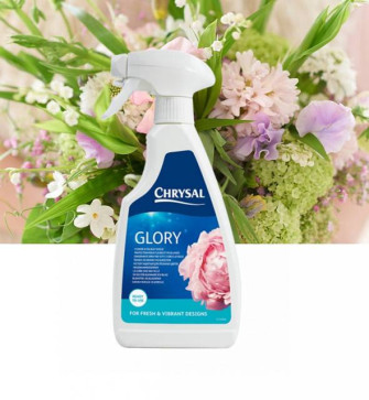 Спрей Chrysal Prof Glory 0.5л