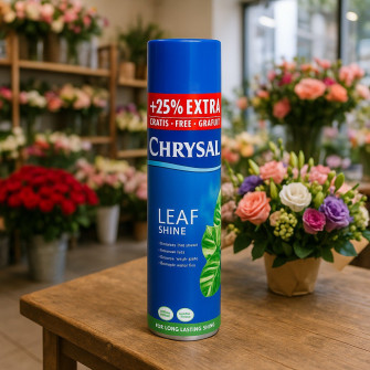 Chrysal Leafshine aerosol 0.75 l