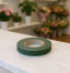 Anchor tape Oasis 12mm × 50m
