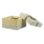 Set of 3 gift boxes Light green abstract