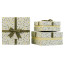 Set of 3 gift boxes Light green abstract