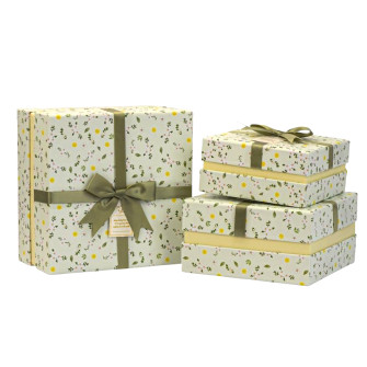Set of 3 gift boxes Light green abstract