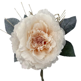 Floribunda rose beige