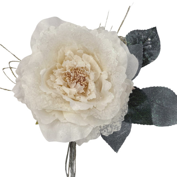 Floribunda milk rose