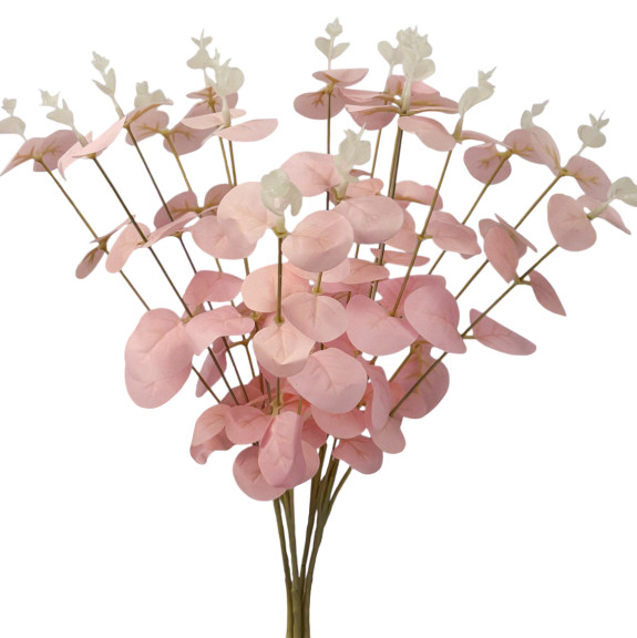 Eucalyptus pink