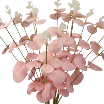 Eucalyptus pink