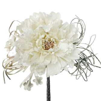 Peony with white stamens