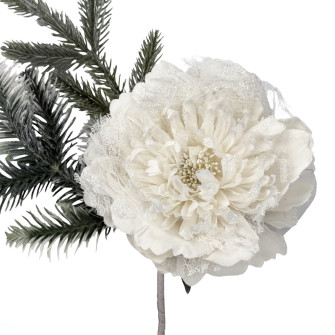 Peony with blue stamens