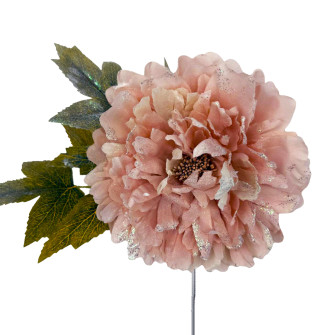 Peony with powdery leaves