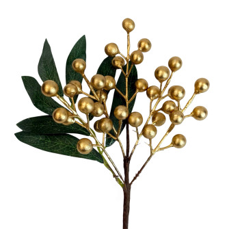 Golden berries in a bunch