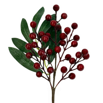 Burgundy berries in a bunch